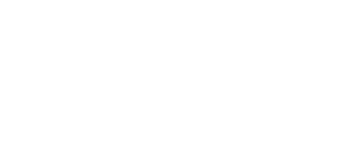 American Image Awards logo